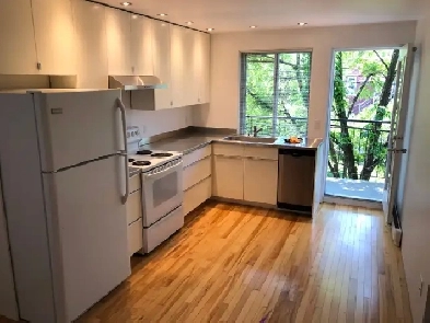 Métro Fabre, Magnifique 4½, Électos inclus Image# 1