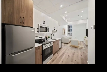 BRAND NEW 1 Bedroom Apartment! Heart of Downtown! Image# 1