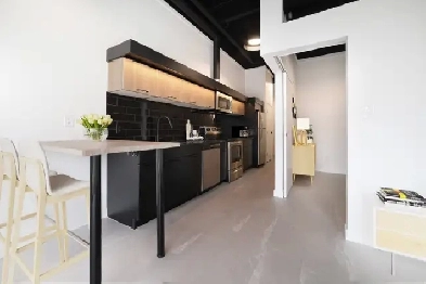 LUXURY 1 Bedroom Apartment! Available December 1st! Image# 1