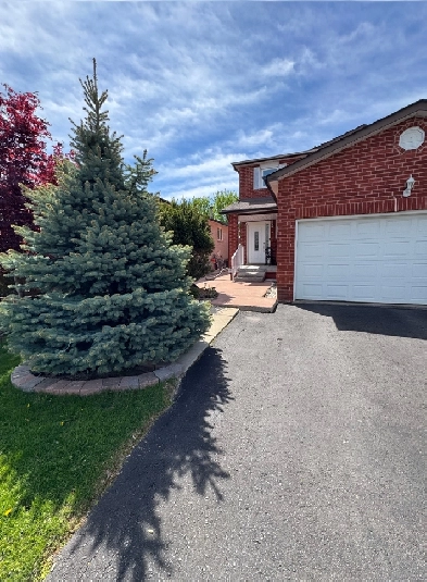 Lease 1 Br   Den( Low Pric efor Quick Lease) Image# 1