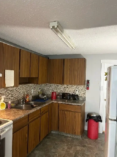 large room for rent in Millwoods Image# 1