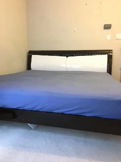 Furnished Bedroom for rent  $950 at HWY7 & Times Ave immediately Image# 1