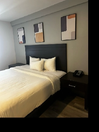 Chambre à louer Image# 1