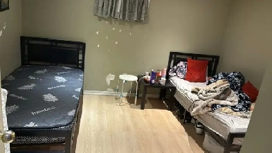 Room for Rent in Scarborough Image# 1