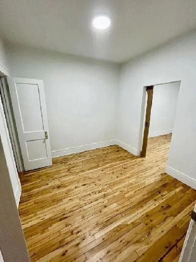 Spacieux 4 1/2 à louer Rosemont petite patrie Image# 1