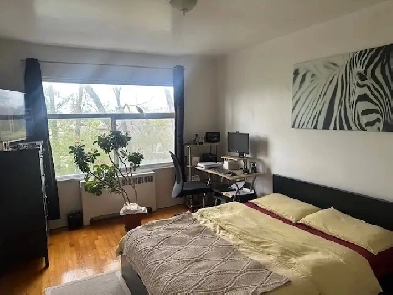 Large room for rent/ Chamber a louer Cote Saint Luc Image# 1