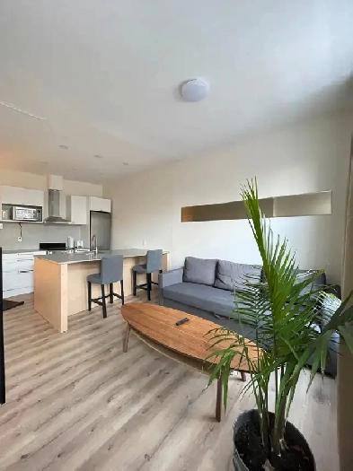 Super Sunny Top-Floor 3½  Furnished Apt, All included, Plateau Image# 1