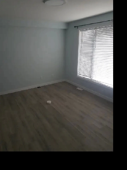 Bachelor Suite available Image# 4