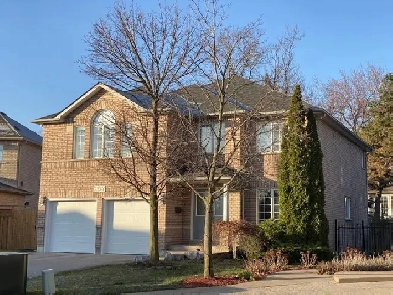 Close to UTM and Sheridan Centre Basement Room with Separate Ent Image# 1