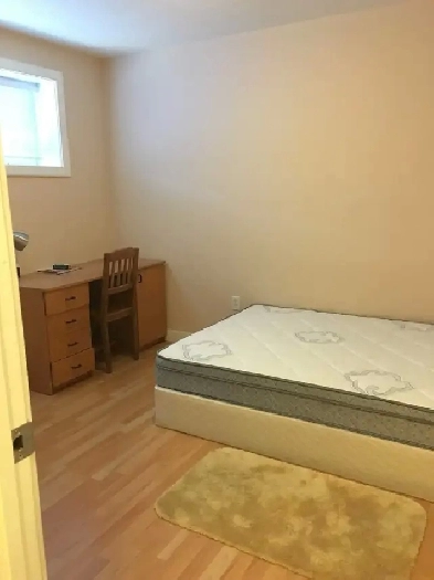 basement room close to SAIT for male Image# 1