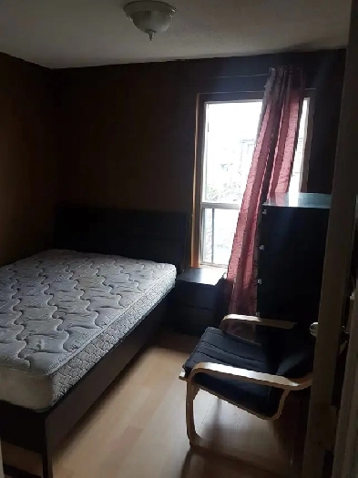 ODSP  AND OW.  private room available now  bramalea city center Image# 1