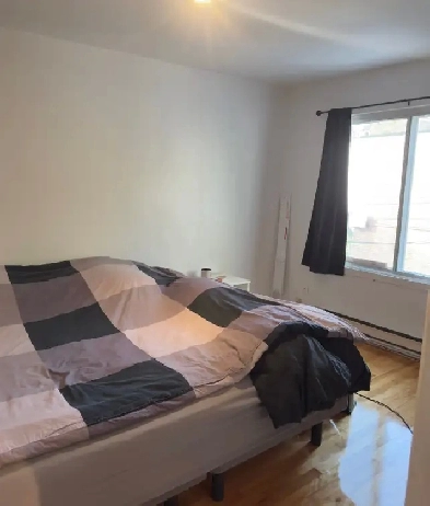 GRAND 4 et demi à LOUER Image# 1