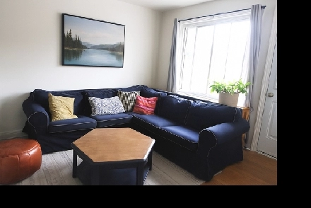 4 1/2 VILLERAY, cachet, metro, parcs, libre maintenant Image# 1