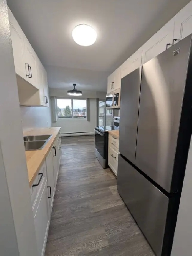 Unfurnished 1 Bed, 1 Bath Apartment (Panorama Place) Image# 8