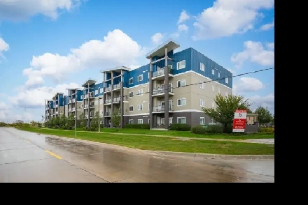 Bright 1bdrm 1bth Condo Designed for Comfort & Convenience! Image# 3