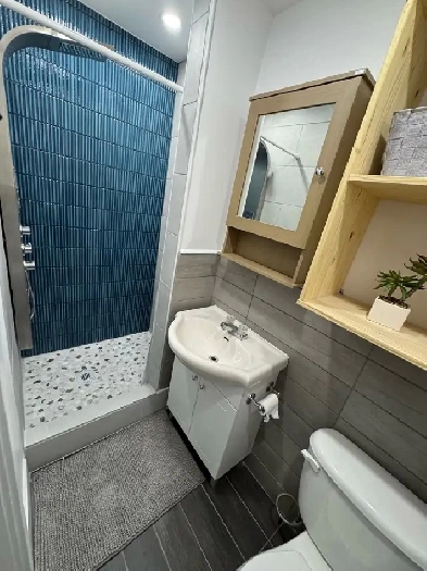 4 1/2 Rénové à neuf! Meublé, wifi, Hydro Tout-Inclus ! Image# 1