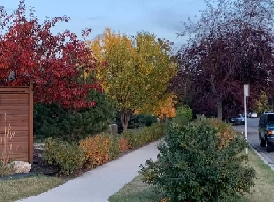 Lovely Suite available in Community of Inglewood Image# 1