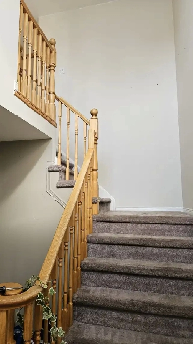 Share roommates for 3 bedrooms house Image# 1