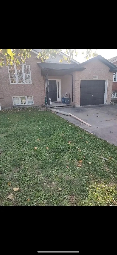 Niagara Falls 2-3 Bed 1 Bath all inclusive APTS for rent Image# 1