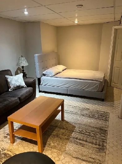 Basement Room Image# 1