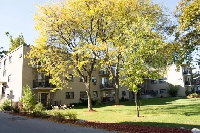 Affordable 1 Bedroom Apartment in Sarnia Image# 3