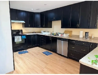 2 bedroom for rent available in castlemore Image# 1