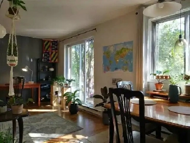 STE-FOY - 3½ CHAUFFÉ/ÉCLAIRÉ À 2 PAS UNIVERSITÉ Image# 1