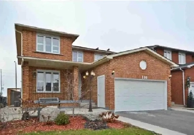 Basement for Rent Image# 1