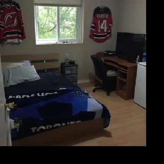 walkout basement room close to conestoga campus for rent Image# 1