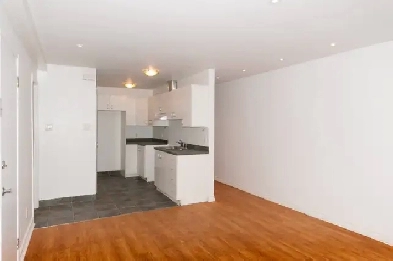 Beau grand 3 ½ à 2 min métro d’Iberville (Rosemont) – 1130$/mois Image# 1