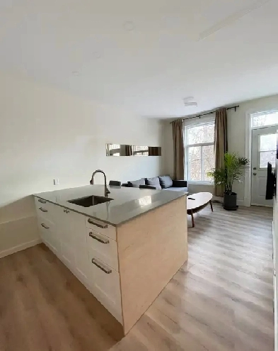 Super Suny Top-Floor downtown apartment, Renovated,All Furnishd Image# 1