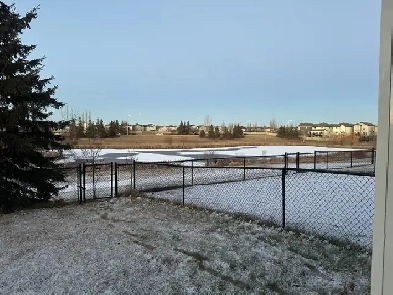 2-Bedroom Walkout Legal Secondary Suite  All Utilities Included Image# 1