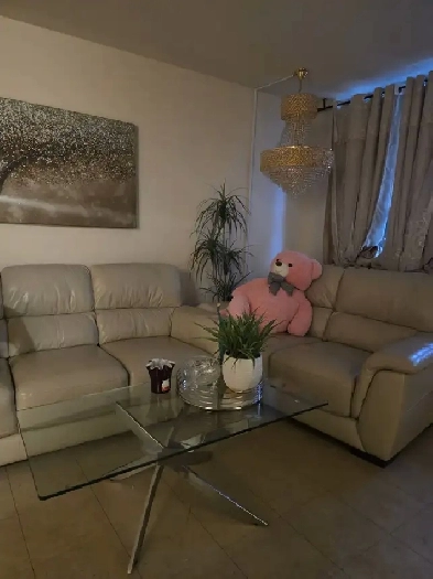 Private Room, Shared Apartment for rent (Room for rent $675/M) Image# 1