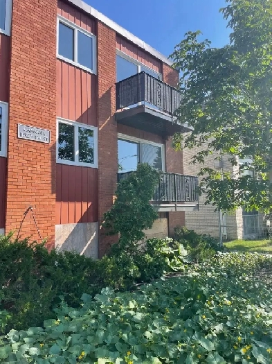 Last suite to rent in this newly renovated building! Image# 1