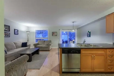 House for Rent in Guelph Image# 4