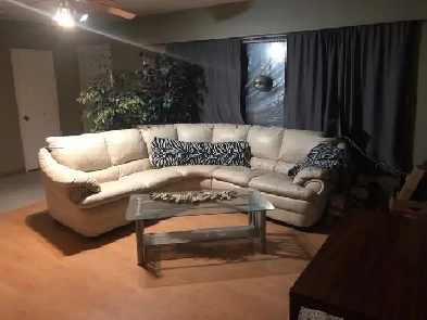 room for rent 800 everything included Image# 2