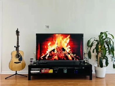 Private Room Available for Rent from Dec 1st or January 1st Image# 1