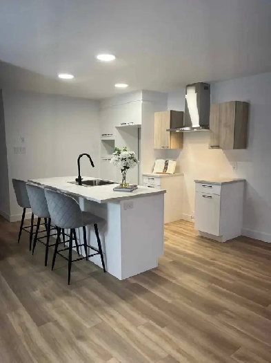 Appartement 4 et demi à louer à Magog Image# 10