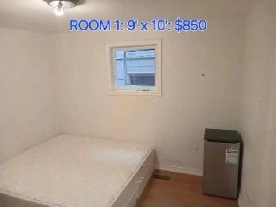 Rooms for rent Christie Pits Image# 1