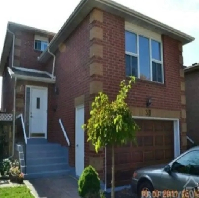 One bedroom apartment Image# 1