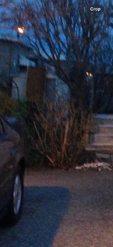 parking spot at Dixie Dundas