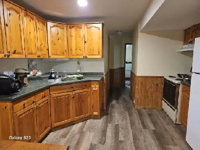 Basement Suite in Steinbach Available Dec 1st! Image# 1