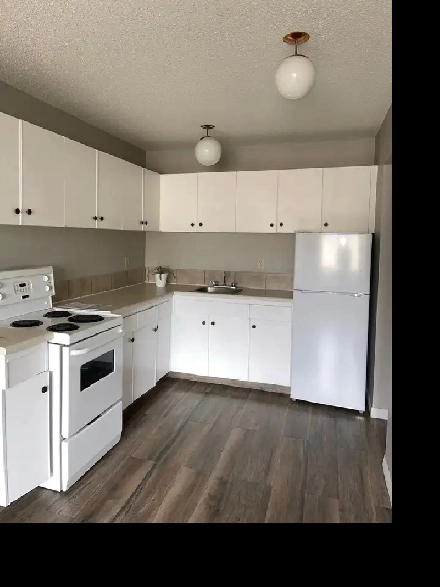 1-Bedroom Apartment for Rent Image# 1