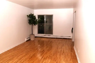 3 1/2 Anjou Image# 1