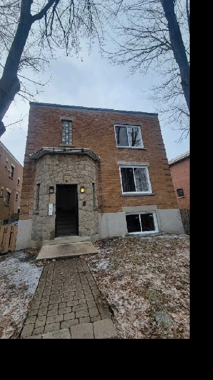 5 1/2 a louer Image# 1