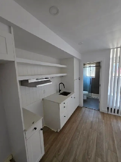 2.5 fully renovated - Verdun Image# 1