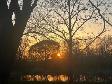 Basement Apartment for rent Image# 1