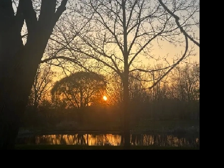 Basement Apartment for rent Image# 1