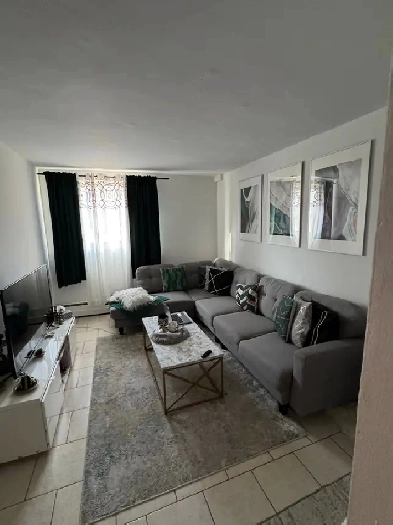 3 1/2 RÉNOVÉ, CALME, GOUIN O. CARTIERVILLE - MONTRÉAL Image# 1