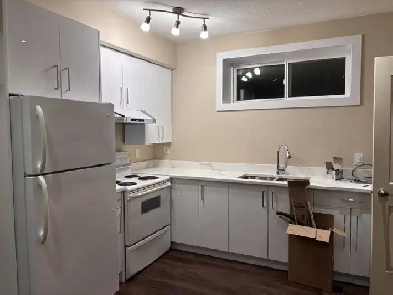 Basement for Rent Image# 1